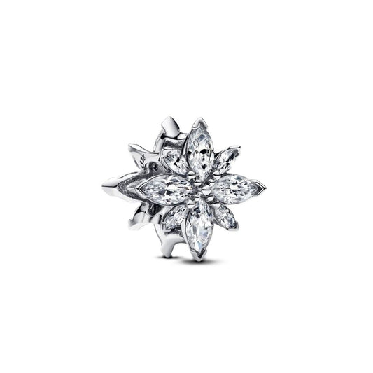 Ladies' Beads Pandora 793591C01 Silver