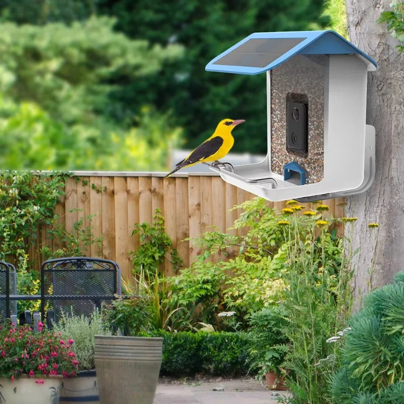 Smart Bird Feeder With Camera For Outside Bird Watching Feeder Camera AI Recognizes Bird Species With Solar Powered
