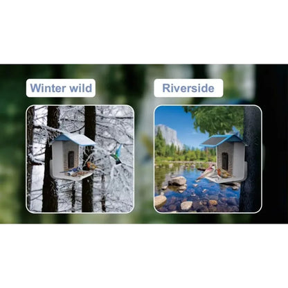 Smart Bird Feeder With Camera For Outside Bird Watching Feeder Camera AI Recognizes Bird Species With Solar Powered